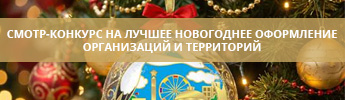 Смотр-конкурс на лучшее новогоднее оформление организаций и территорий