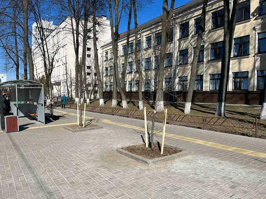 Озеленение района