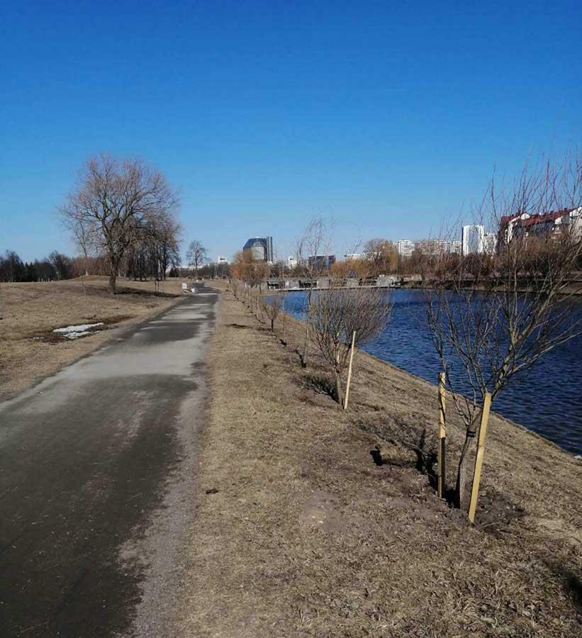 Озеленение района