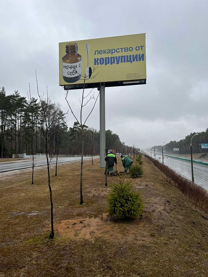 Озеленение территории вдоль МКАД