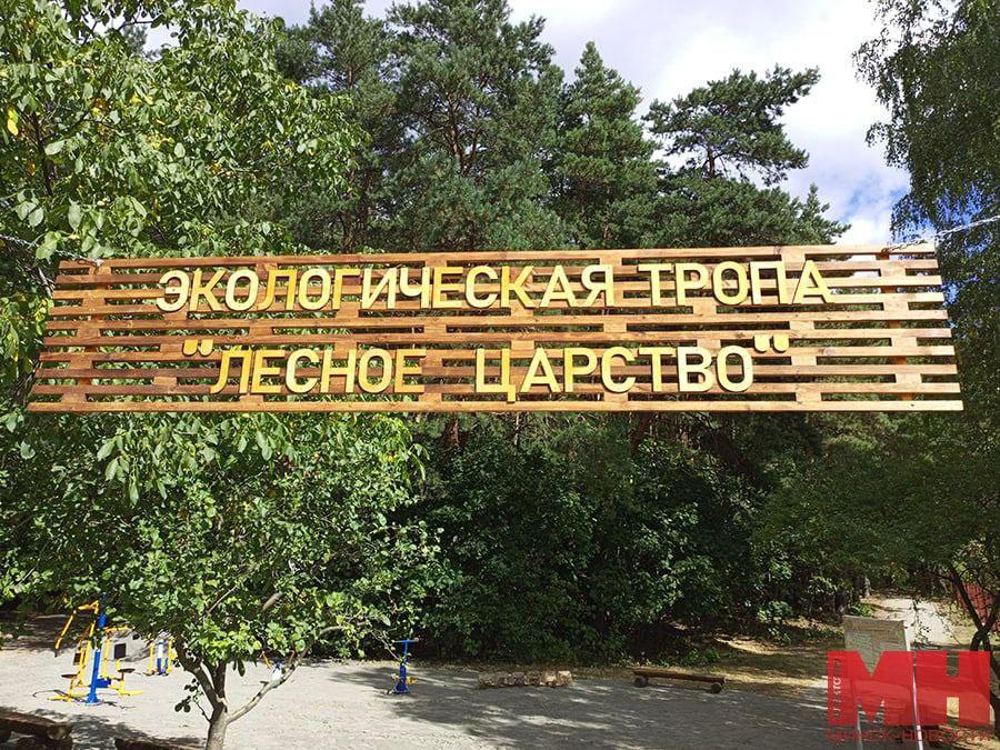 Экотропу протяженностью 828 метров с зоной для прогулок босиком планируют открыть 3 сентября
