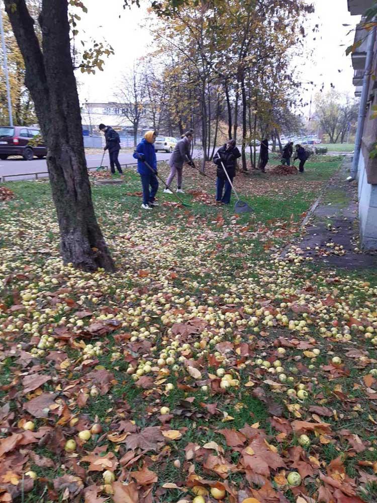 Продолжается месячник по санитарной очистке и благоустройству города