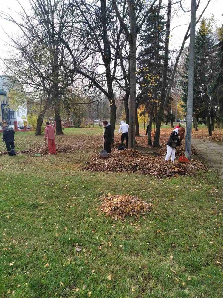 2 ноября студенты ГУО "Минский государственный архитектурно-строительный колледж" и ГОУ "Минский государственный лингвистический университет" оказали помощь УП "Зеленстрой Партизанского района г.Минска" в уборке территорий от опавшей листвы