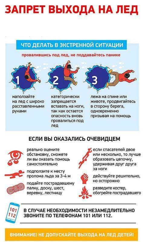 Рубрика «Правила жизни»