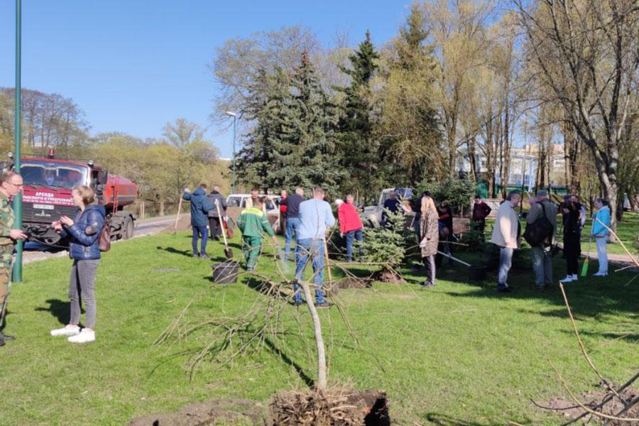 В  Год мира и созидания