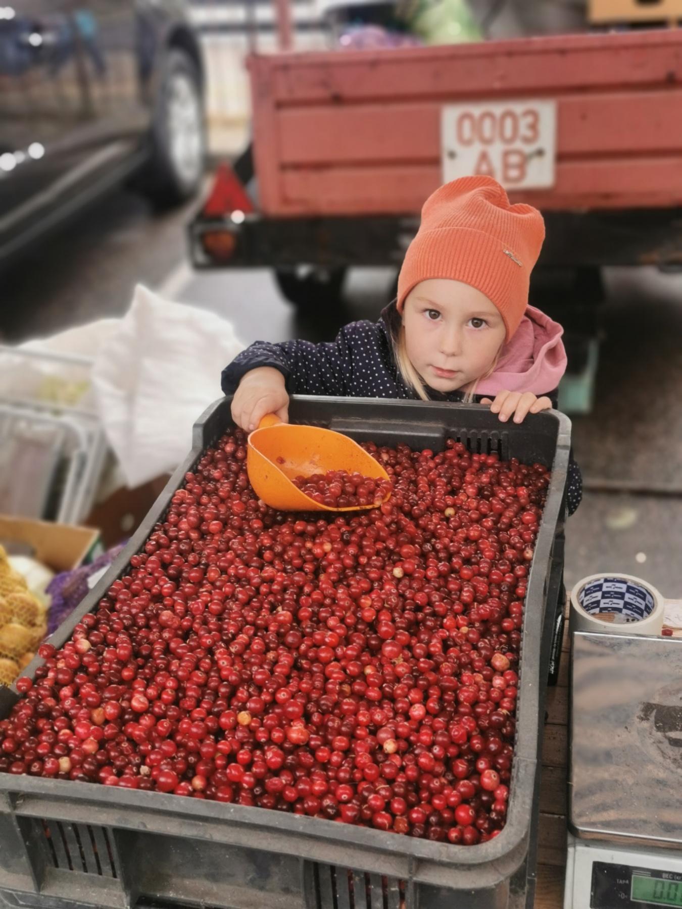 18-19 ноября 2023 г. администрация Партизанского района г.Минска приглашает посетить сельскохозяйственные ярмарки на двух районных площадках: ул.Карвата, 4 и ул.Пулихова, 15.  