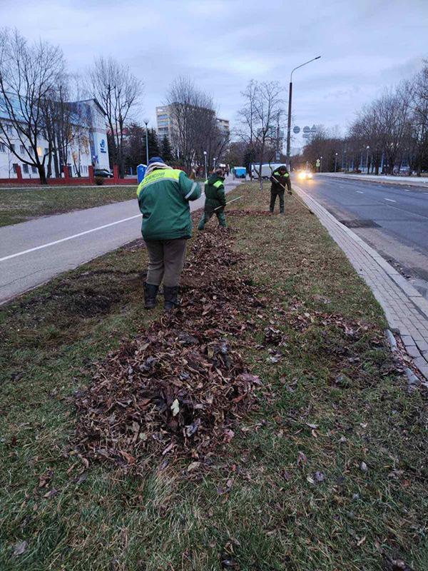 Осенний месячник по наведению порядка