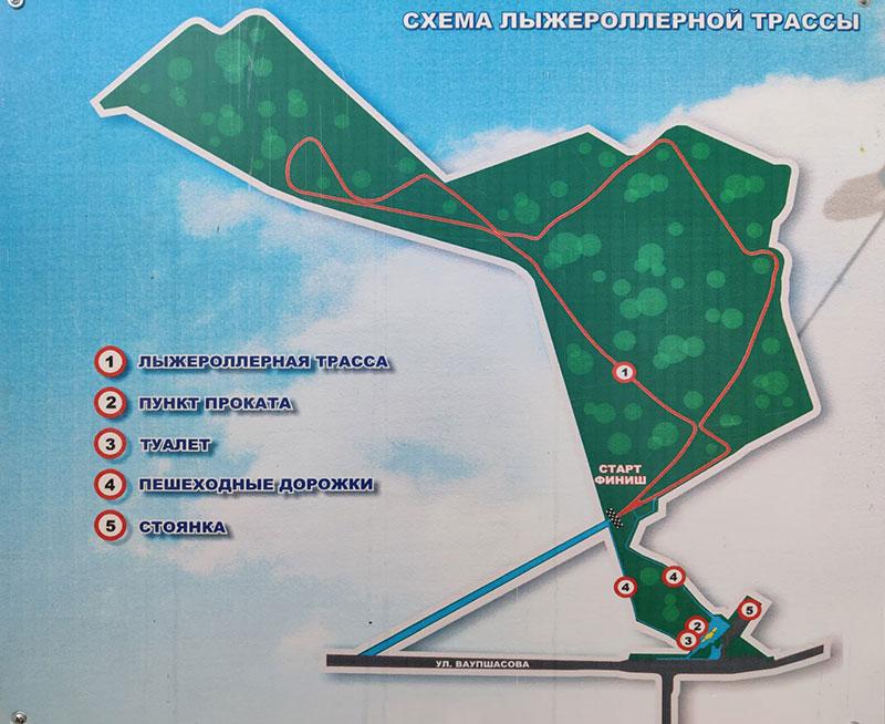 Cезон катания на лыжероллерной трассе открыт!